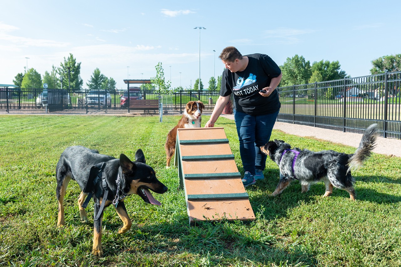 Marge Irons Memorial Dog Park